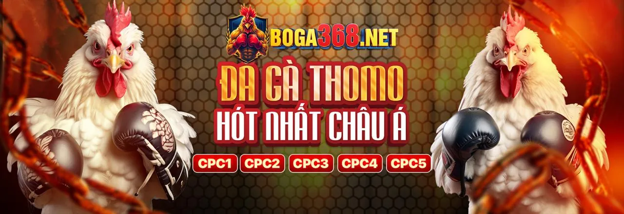 Đá gà trực tuyến kịch tính tại KIM88
